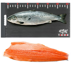 Fish Fillet Mat – 28x14” Portable Non-Slip Fish Cleaning Board with Measuring Sticker, Easy Clean