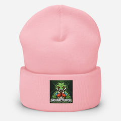 Grumpyfrog Holdings Cuffed Beanie – Warm Knit Hat, Unisex Winter Cold-Weather Essential