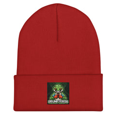 Grumpyfrog Holdings Cuffed Beanie – Warm Knit Hat, Unisex Winter Cold-Weather Essential